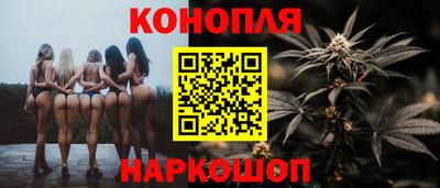 Альфа ПВП Краснознаменск