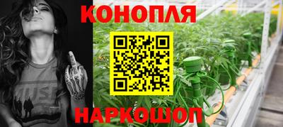 Альфа ПВП Краснознаменск
