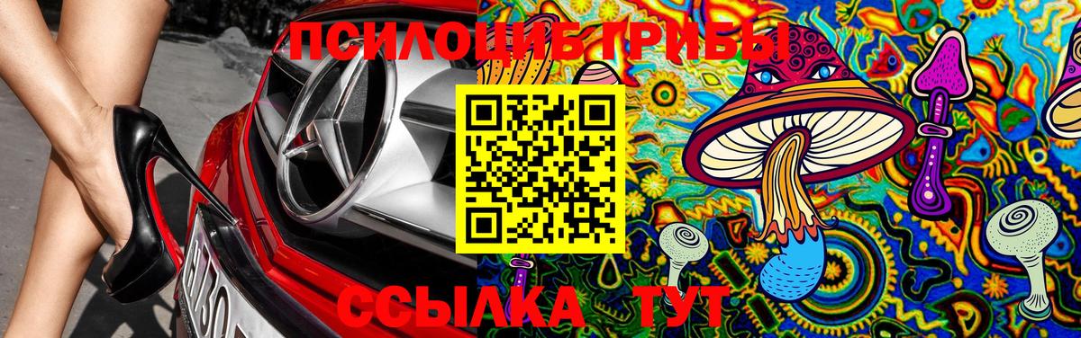 Галлюциногенные грибы GOLDEN TEACHER Каменск-Уральский
