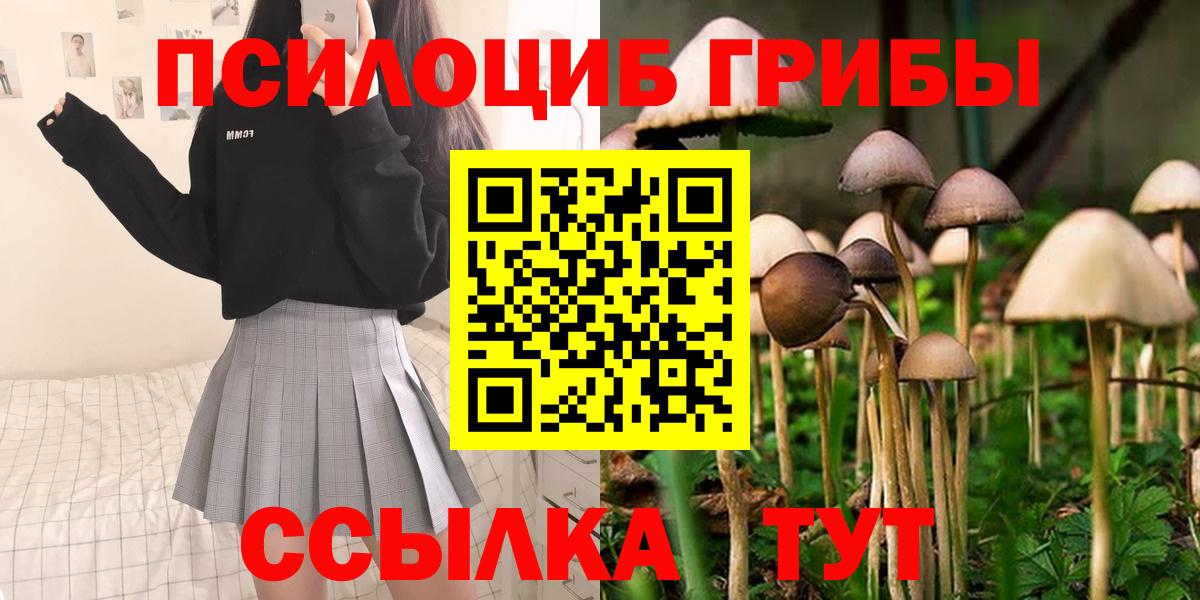 закладка  Вход с VPN  Каменск-Уральский  Галлюциногенные грибы MAGIC MUSHROOMS 